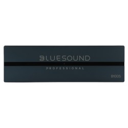 Blue Sound Professional B100S (E4)
