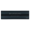 Blue Sound Professional B100S (E4)